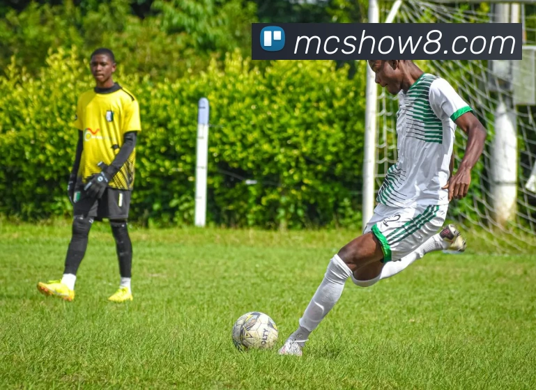 九游会官网平台生态图